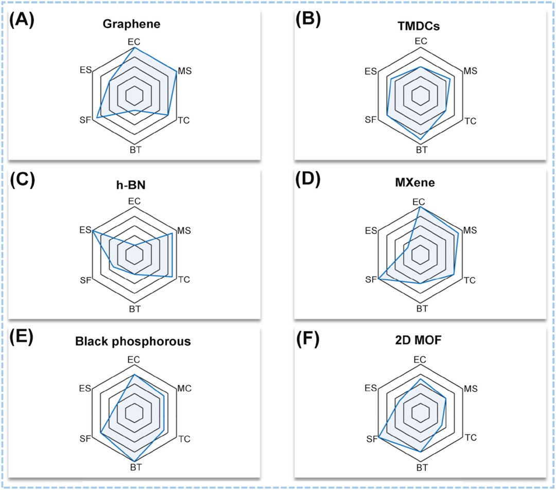 韩国成均馆大学Dae Joon Kang：利用二维材料赋能柔性能量采集应用