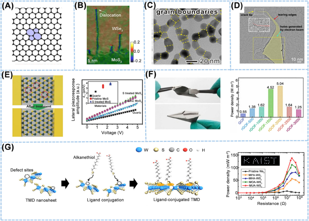 韩国成均馆大学Dae Joon Kang：利用二维材料赋能柔性能量采集应用