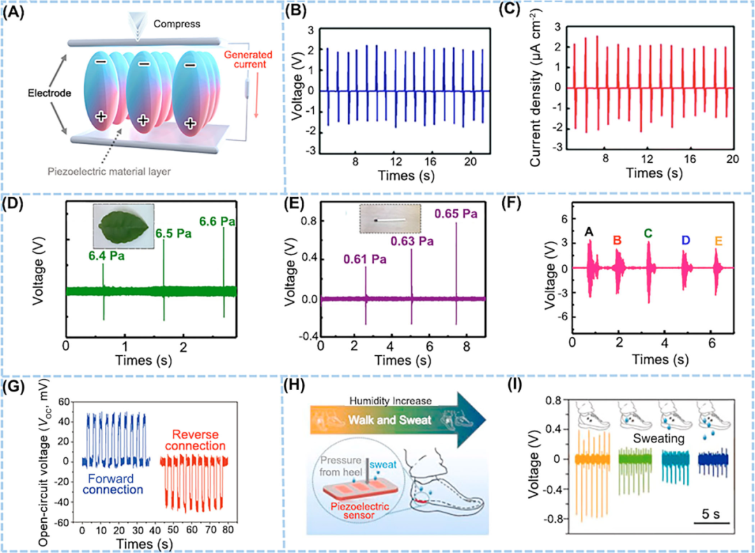 韩国成均馆大学Dae Joon Kang：利用二维材料赋能柔性能量采集应用