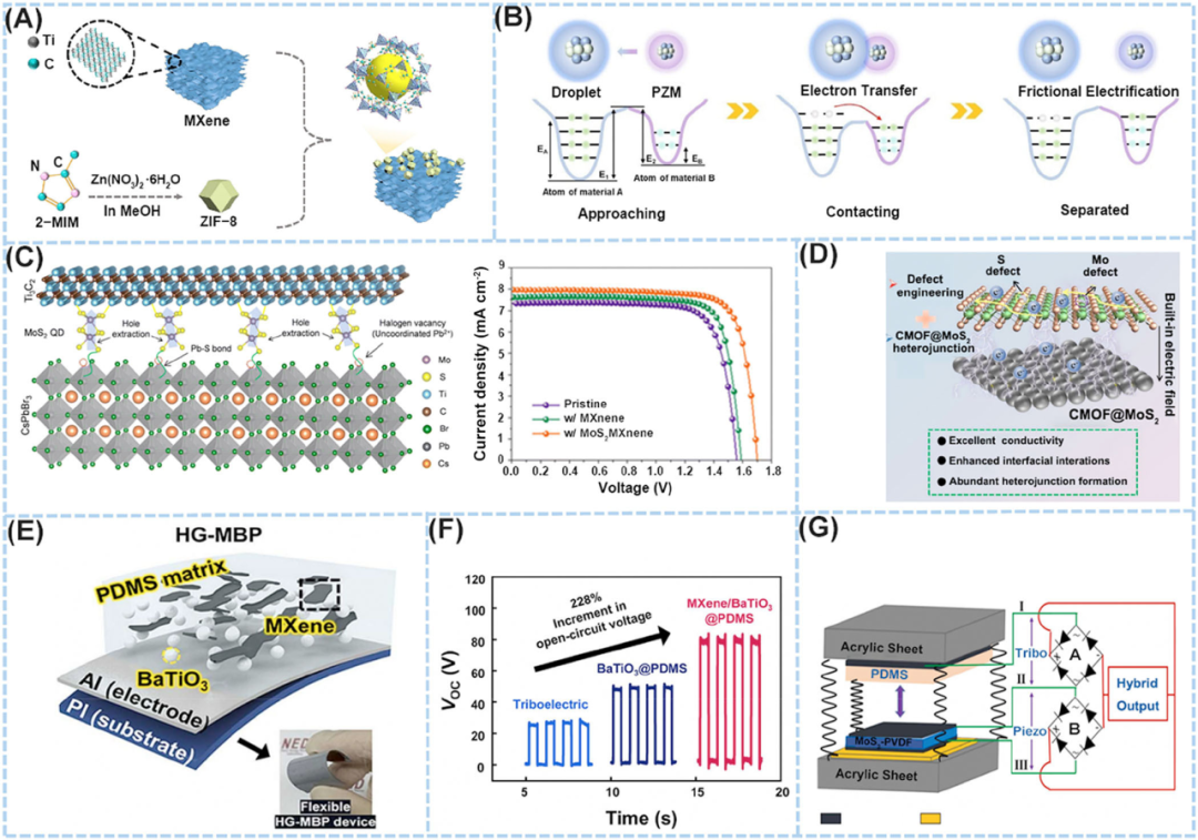 韩国成均馆大学Dae Joon Kang：利用二维材料赋能柔性能量采集应用