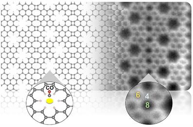 二维碳材料新突破：纳米多孔石墨烯与联苯段的精准“合金化”！Advanced Materials