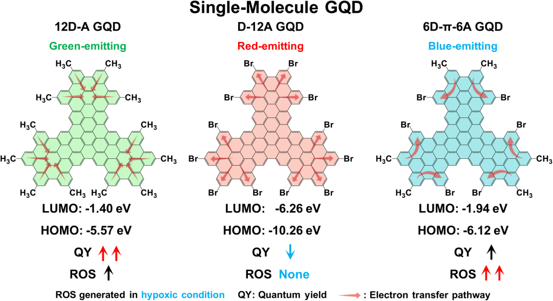 武汉科大高天团队: 原子级精确调控单分子石墨烯量子点增强光动力疗效