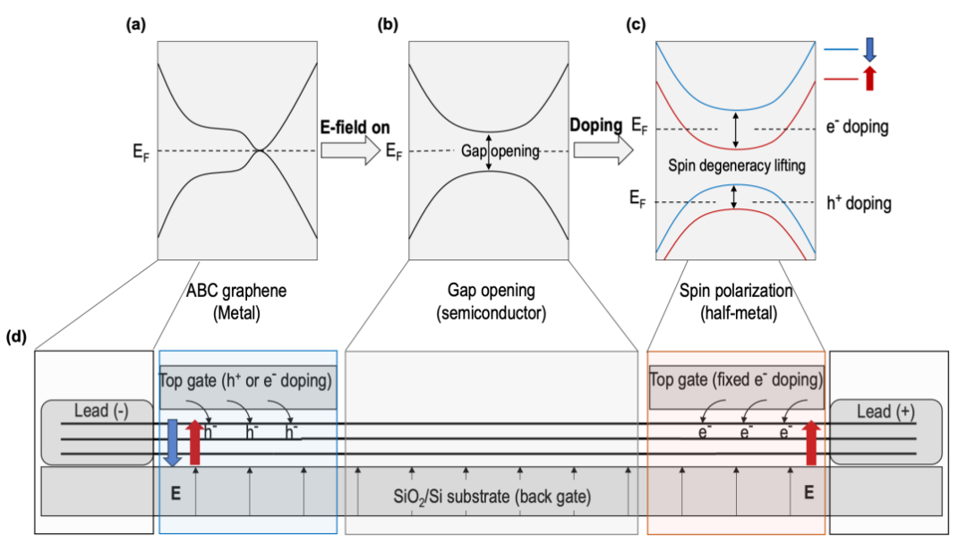 JPCL快讯 | 菱方三层石墨烯打造“全石墨烯一体化”磁隧道结