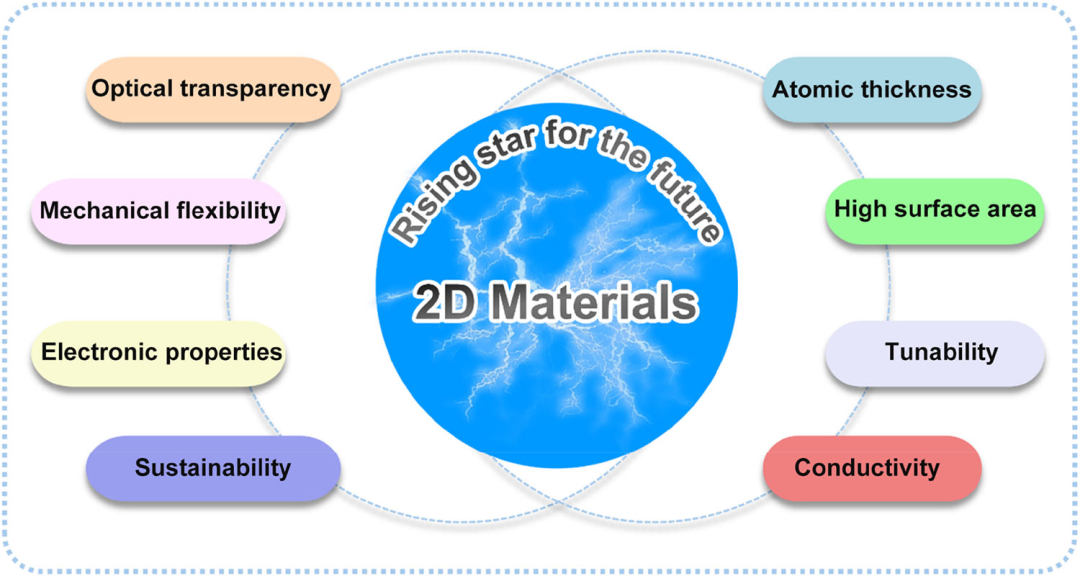 韩国成均馆大学Dae Joon Kang：利用二维材料赋能柔性能量采集应用