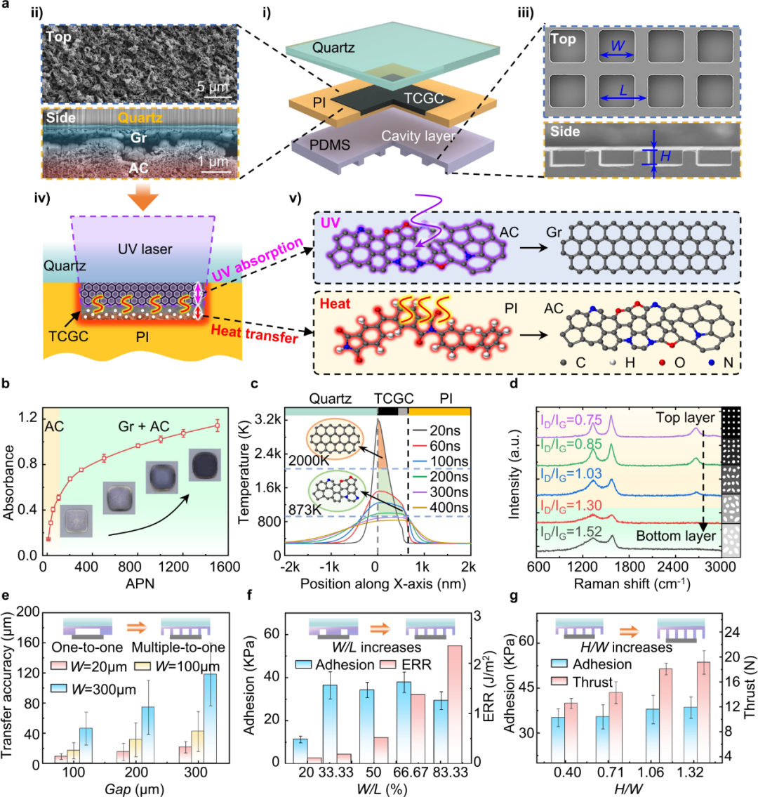 华科大黄永安教授团队《Light：Sci. Appl.》：梯度石墨烯驱动激光自对准转印技术| 石墨烯网