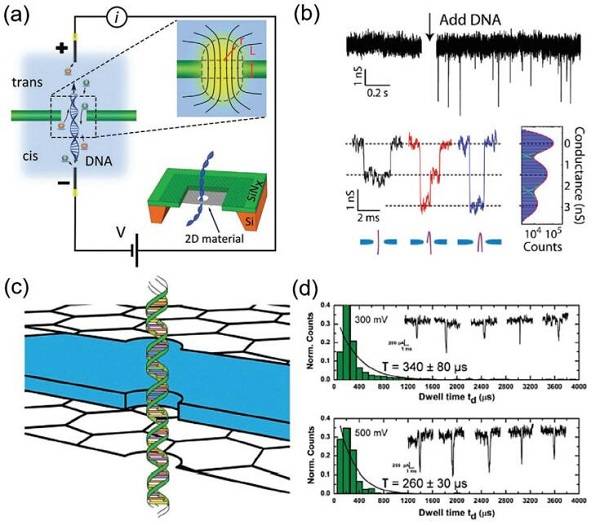 中科院大连化物所&沈阳金属所AFM综述：石墨烯和多孔石墨烯材料的化学性质和应用前景