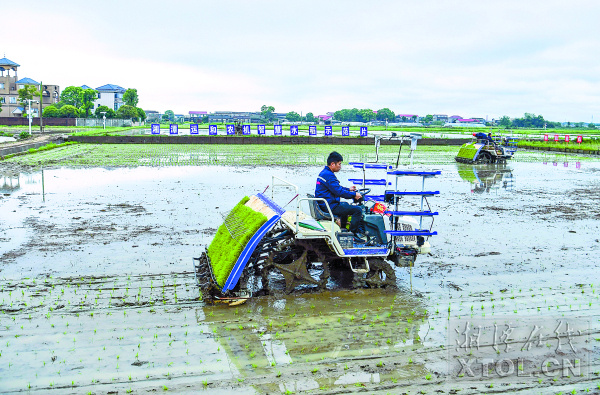 湖南湘潭：农业插上“科技翅膀”