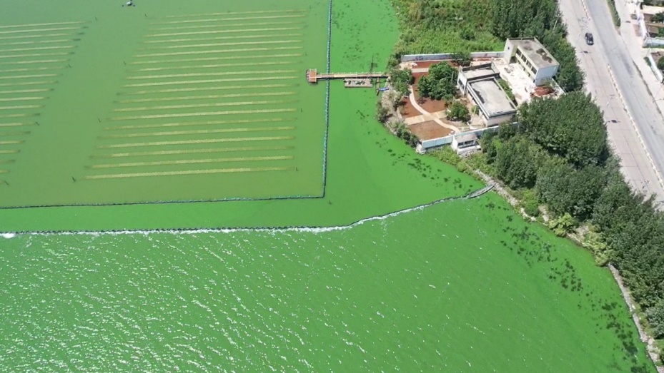 云南大学张虎才研究团队发表石墨烯光催化技术对高污染富营养化湖泊水质提升实验研究成果