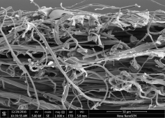 常州西太湖科技产业园石墨烯企业系列推广⑤ ——常州碳星科技有限公司