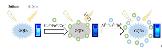 浙江农林大学理学院师生研发石墨烯量子点荧光开关取得新进展