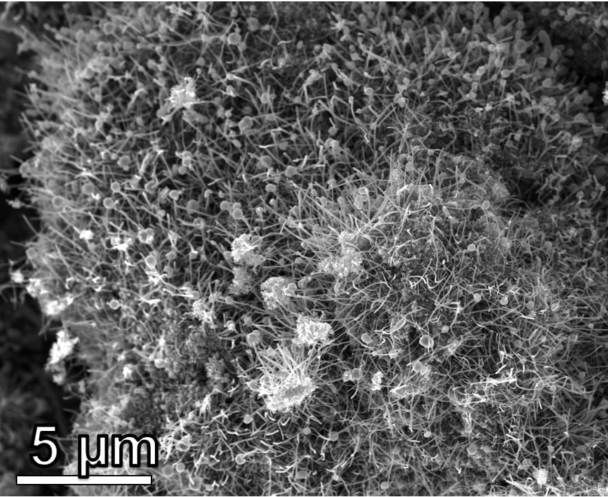利润潜力为莱斯实验室的塑料废物项目提供了希望 “闪焦耳”技术有效地将潜在的污染转化为有价值的纳米材料