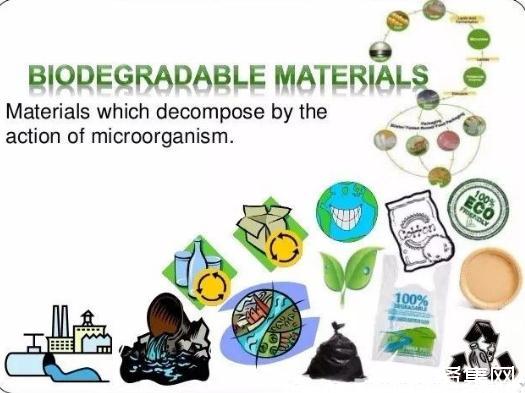 张万虎：石墨烯/淀粉基生物全降解塑料制造技术替代通用塑料产品