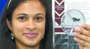 “20秒给手机充满电”可能吗?