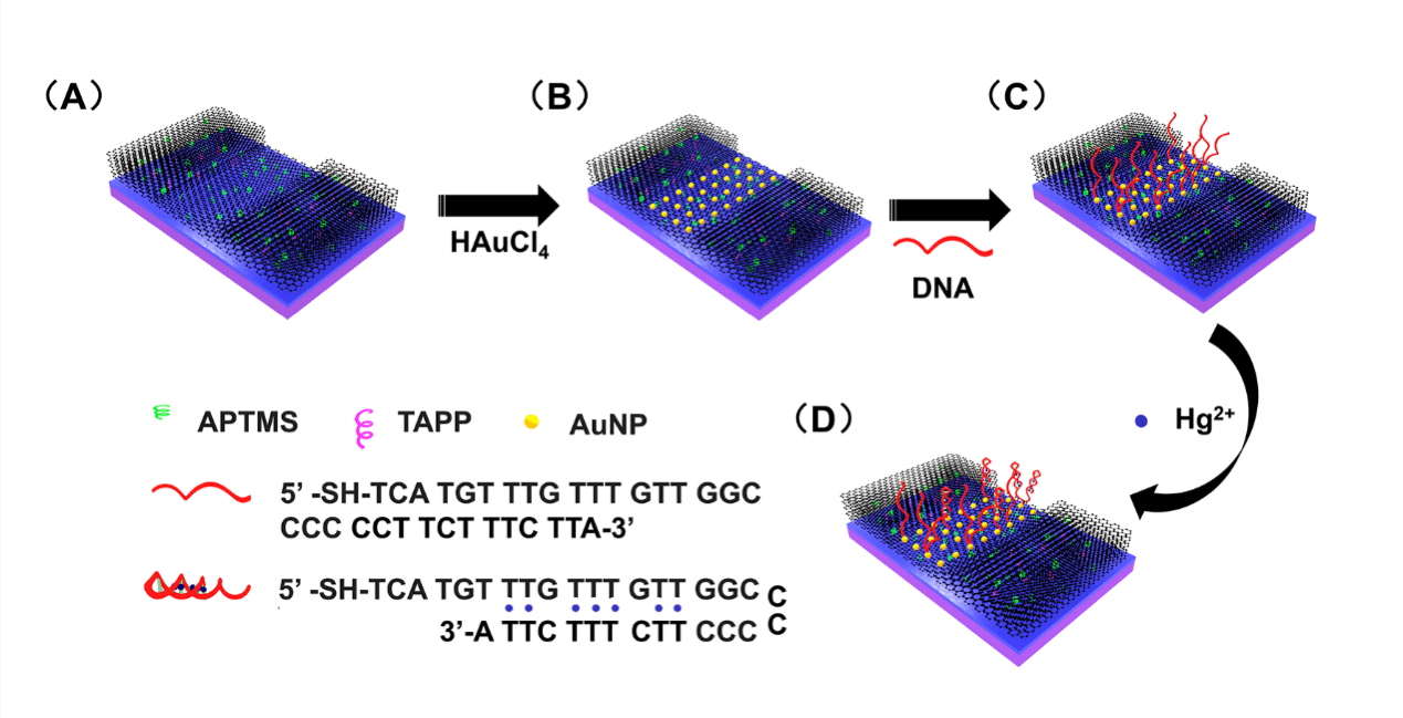 SmartMat：不同功能偶联剂组装的全石墨烯FET器件——高灵敏度、高稳定性地检测废水中的汞离子