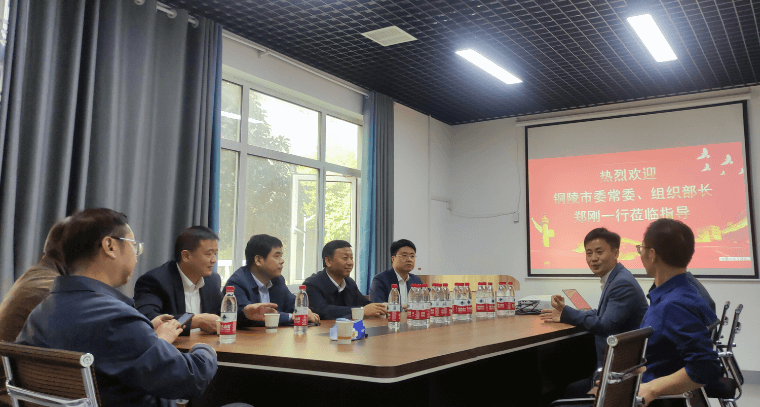 铜陵市委常委、组织部部长郑刚一行莅临公司指导