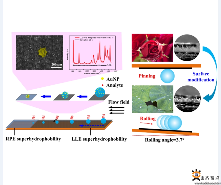 韩琳教授课题组在激光诱导石墨烯超疏水材料及应用方面取得新进展