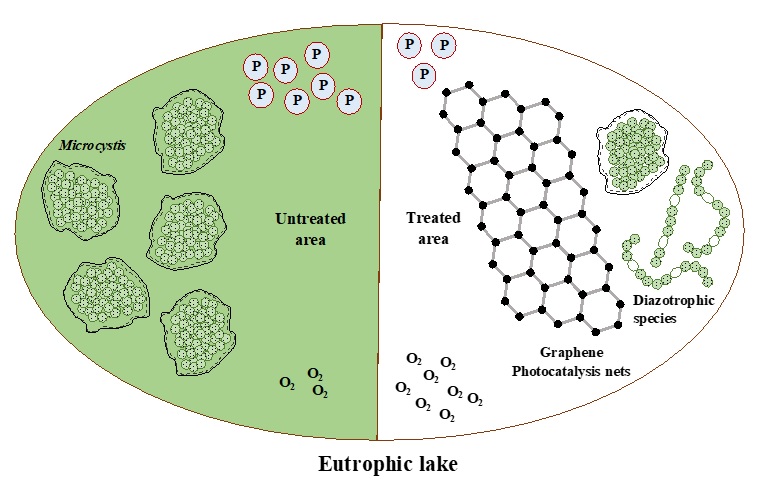 云南大学张虎才研究团队发表石墨烯光催化技术对高污染富营养化湖泊水质提升实验研究成果