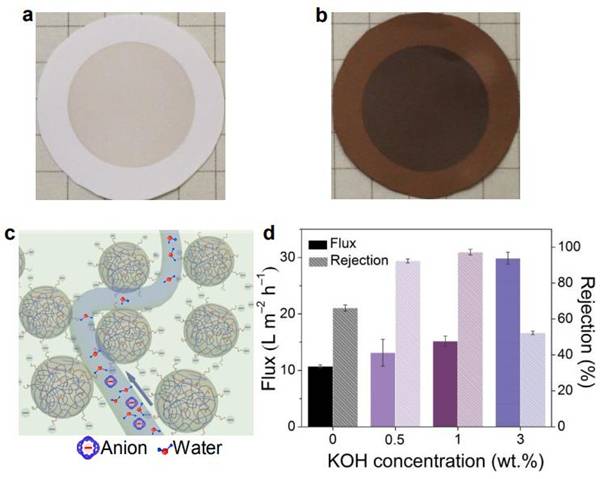 南京大学Nano Lett.：软颗粒插层氧化石墨烯膜实现快速选择性的水传输