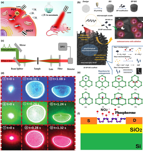 湘潭大学祁祥和黄宗玉教授EEM综述：石墨烯以外的二维材料的可调谐电子和光学特性，具有广阔的应用前景