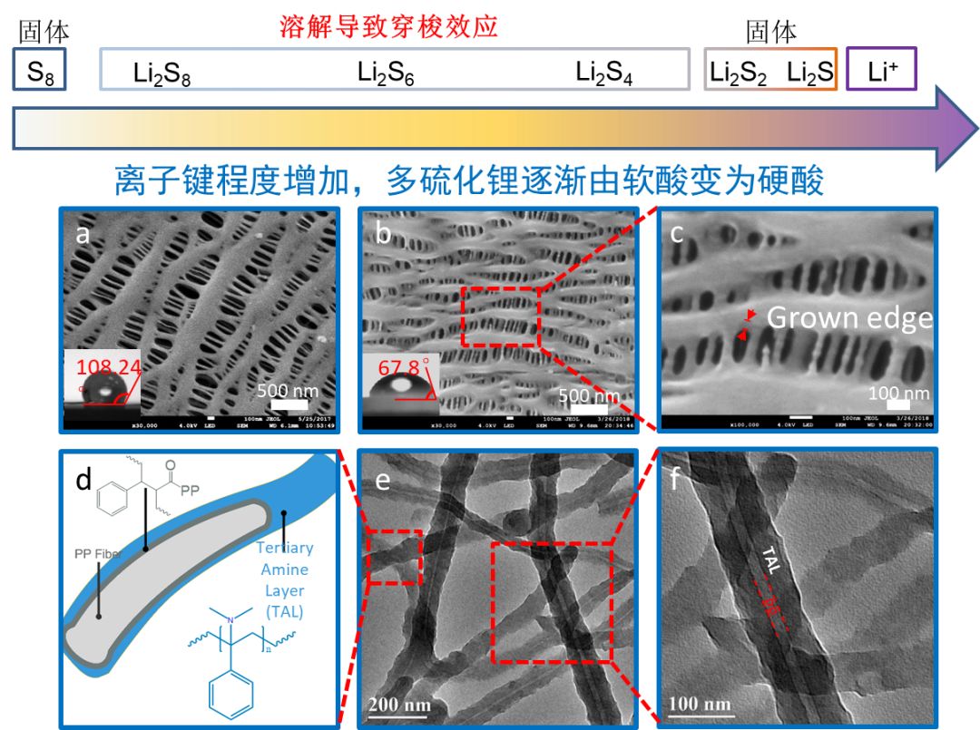 重庆大学魏子栋团队在锂硫电池隔膜取得突破