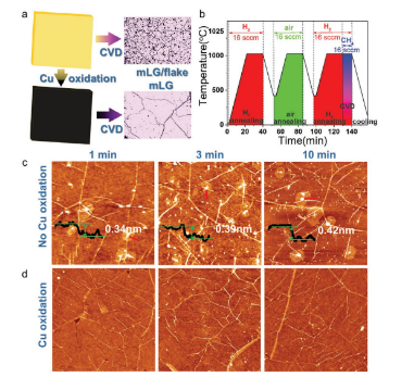 济南大学逄金波-刘宏Adv. Mater. Technol.：晶圆级石墨烯的化学气相沉积法合成及其电子器件应用