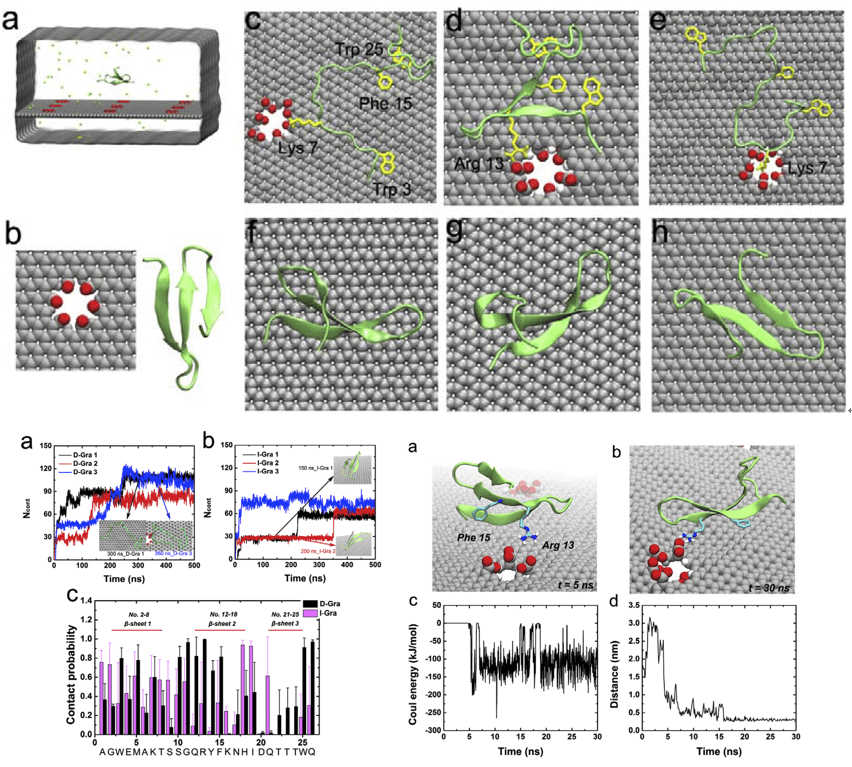 祝贺李保玉博士关于缺陷石墨烯上的蛋白质WW结构域变性揭示纳米材料缺陷在纳米毒性中的重要性的文章在Carbon杂志发表