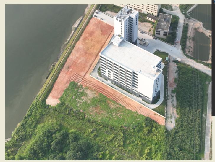 厚德村南阁老虎围石墨烯厂房旁农田