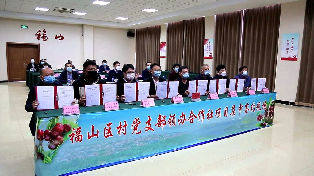 烟台党支部领办合作社24个项目集中签约 共计投资15亿元