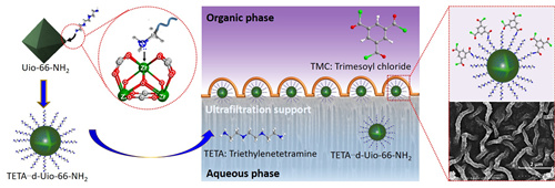 中国科学院青岛生物能源与过程研究所科研团队在聚酰胺复合膜结构调控方面取得新进展