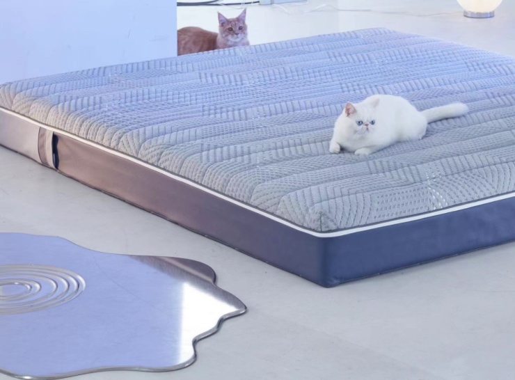 小米有品众筹频道推智能床垫：睡眠环境智能联动