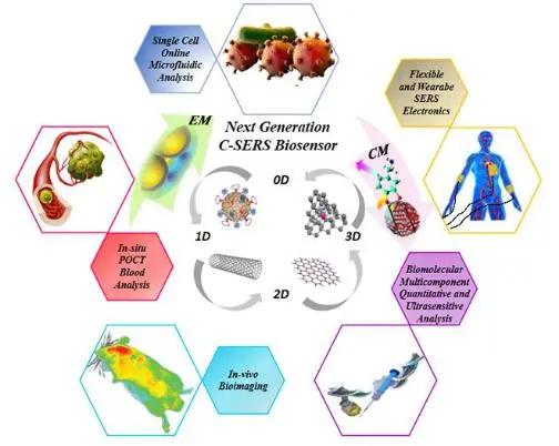 基于碳纳米材料的SERS生物传感器的研究进展