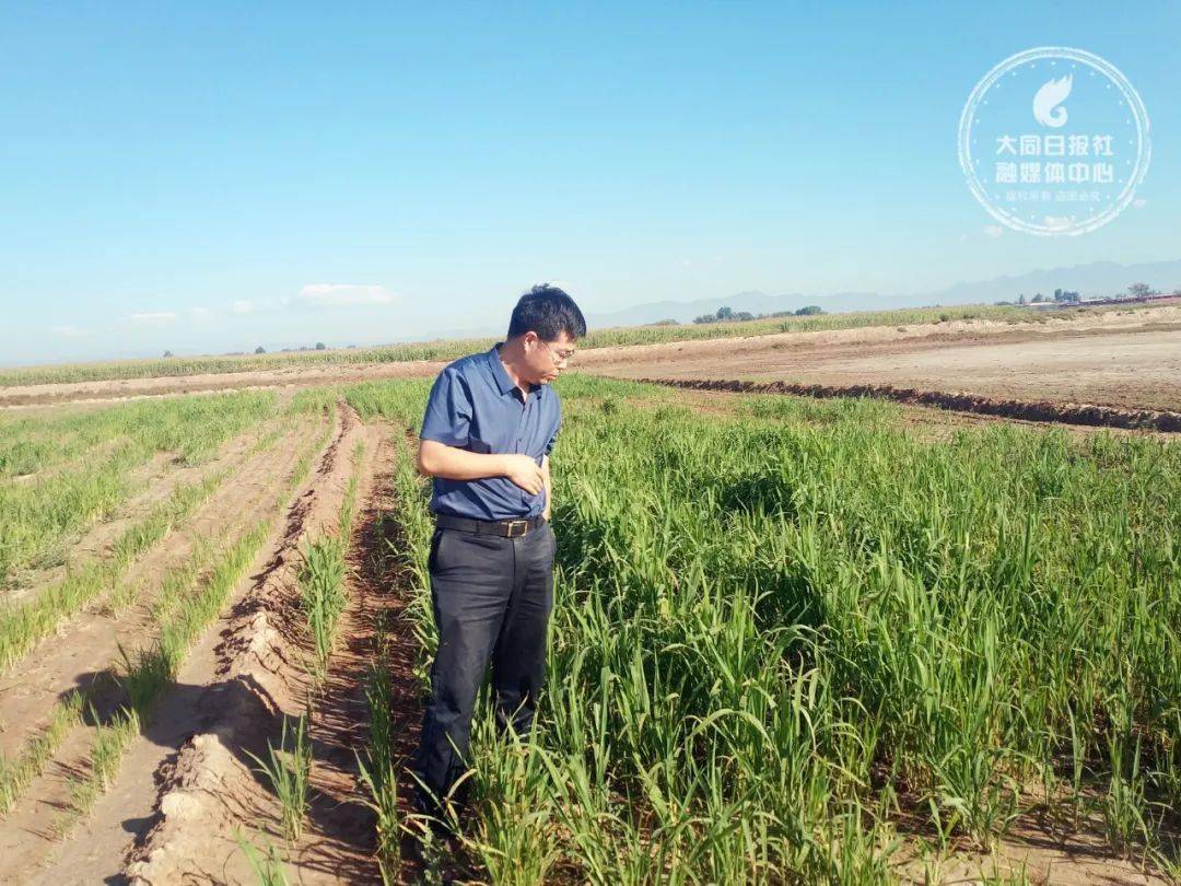 大同大学石墨烯科研团队，助力内蒙古盐碱地治理