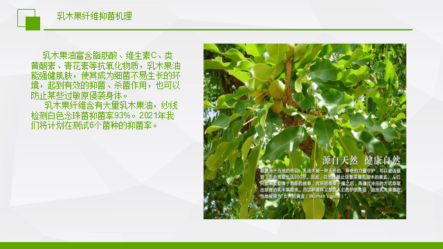 成功举办：抗菌抗病毒功能纺织开发高手云集！思路各放精彩！