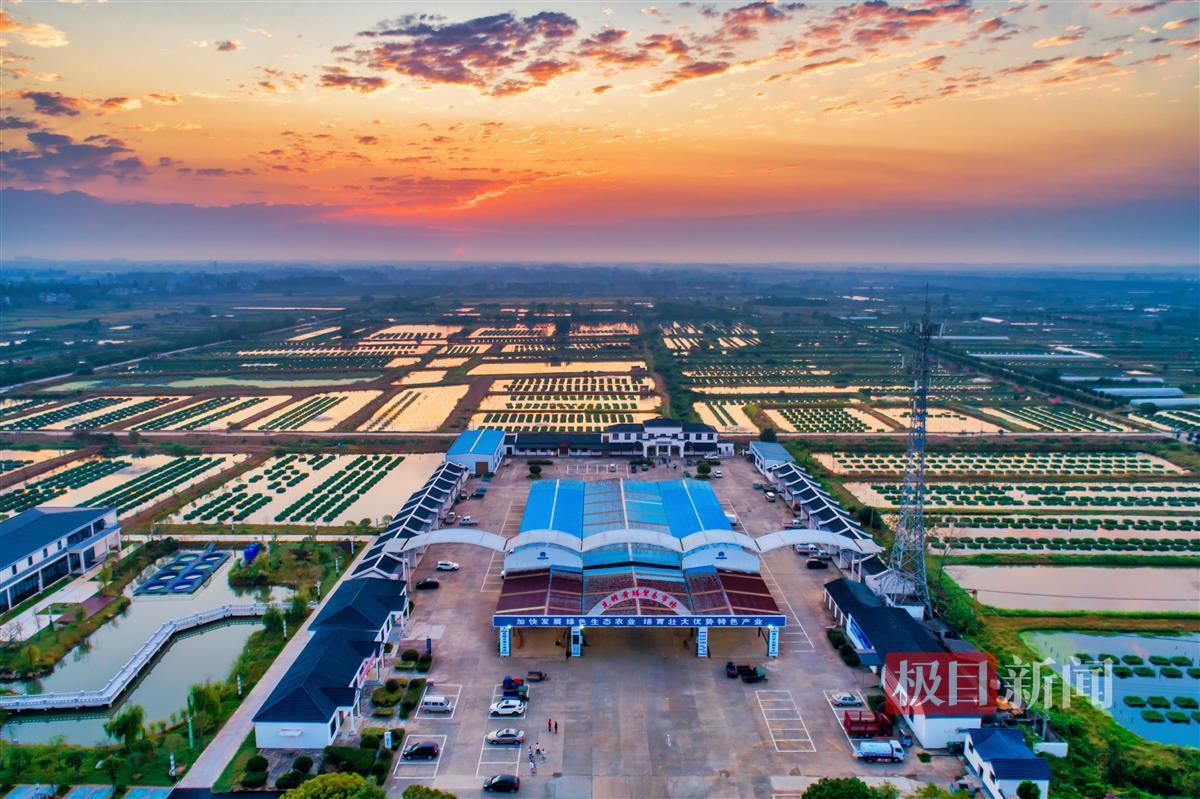 仙桃亮相全省第三届荆楚乡村文化旅游节，沔阳小镇嗨至深夜