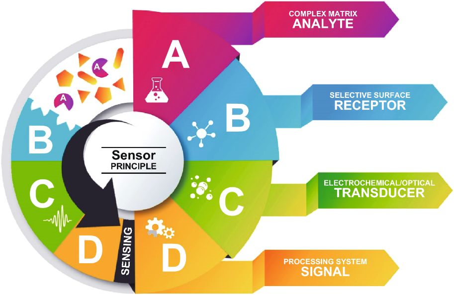 英国伯恩茅斯大学综述：2D材料酒精传感进展 State of the Art in Alcohol Sensing with 2D Materials
