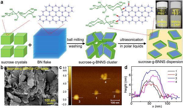 清华-伯克利深圳学院成会明、刘碧录团队在二维材料同步剥离和官能化方面取得新进展