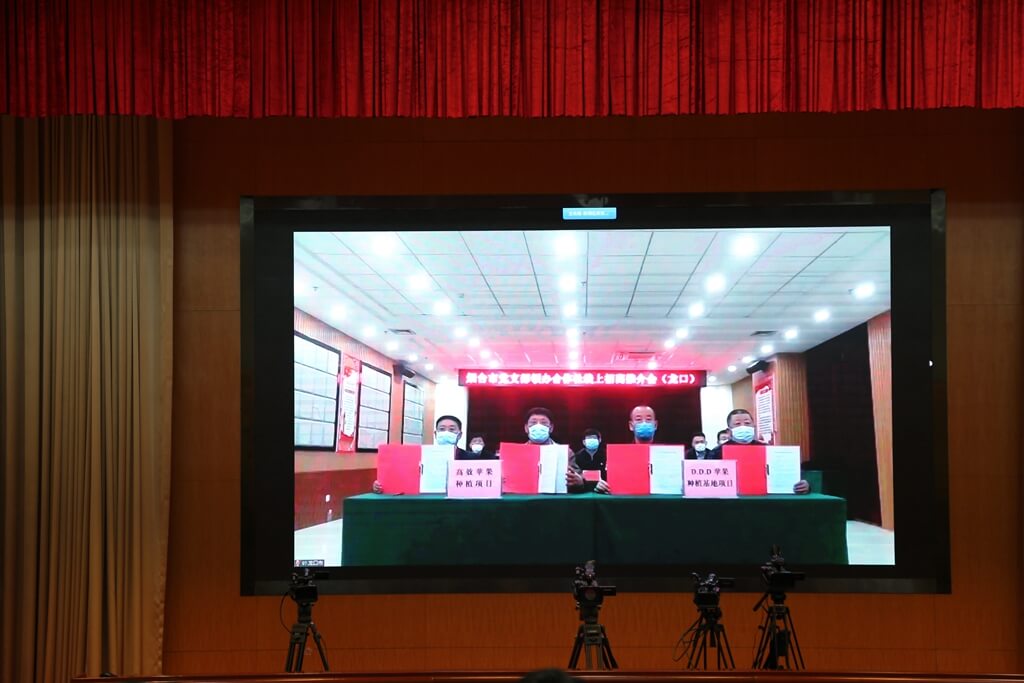 烟台党支部领办合作社24个项目集中签约 共计投资15亿元