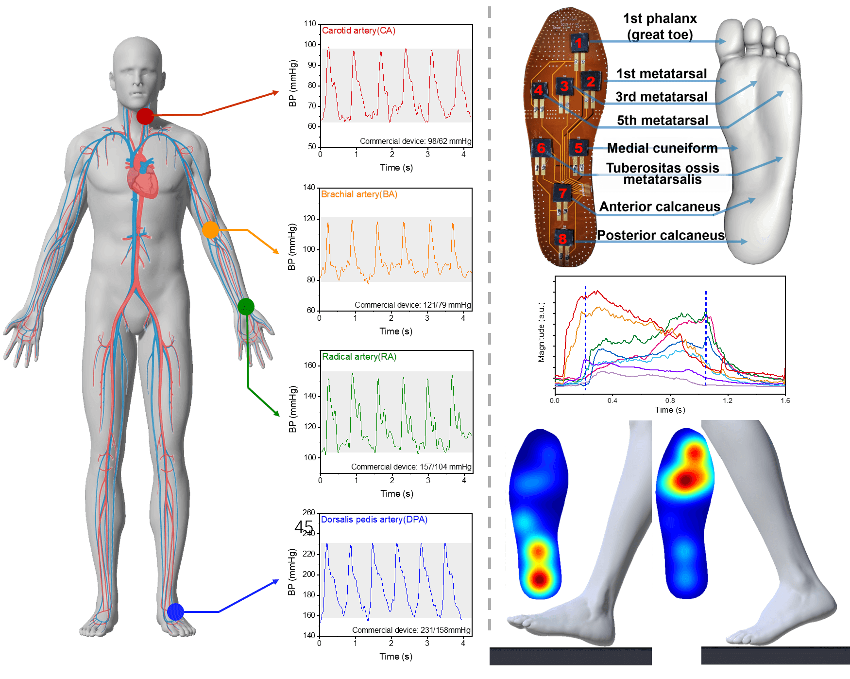 清华大学研发高灵敏度和较大量程的可定制石墨烯压力传感器