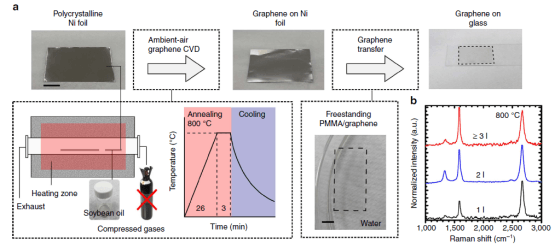 那些年，大神们用来做石墨烯的豆油、饼干、鸡骨头、牛粪……