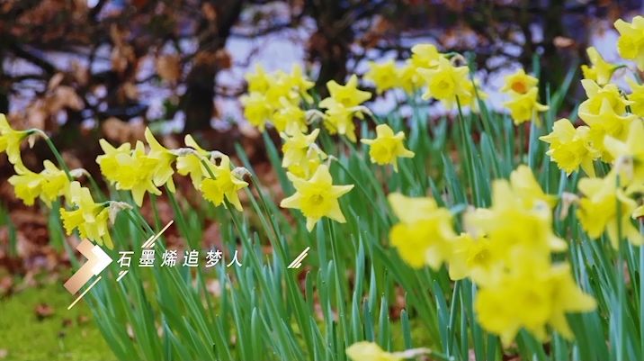 CCTV发现之旅频道：石墨烯追梦人