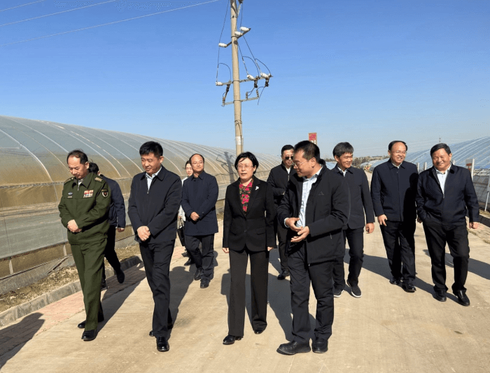 微信截图_20231120072439