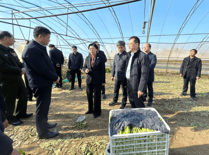 微信截图_20231120072446