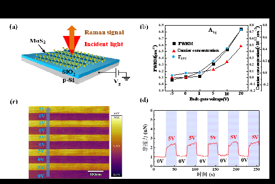 东华大学机械工程学院彭倚天教授装备载流界面摩擦取得系列进展