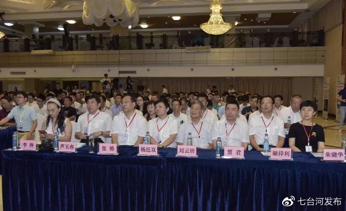 2019中国七台河石墨烯应用创新创业大赛暨石墨产业发展高端研讨会启幕