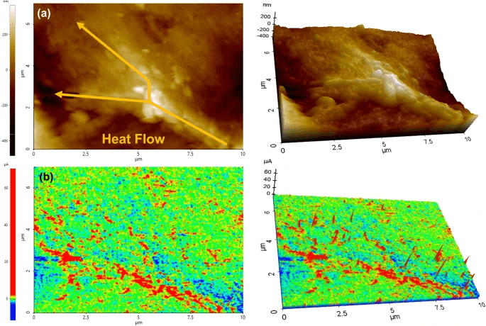上海大学丁鹏研究员：三维互穿结构MXene/石墨烯基聚合物复合材料的软模板制备及多功能化