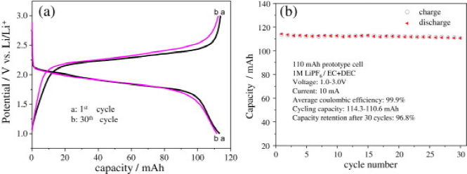 清华大学何向明教授JPS：塑料集流体，助力锂离子电池更上一层楼