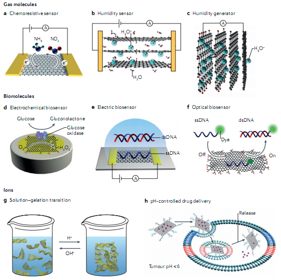 迈进石墨烯大门，请从这十篇综述开始