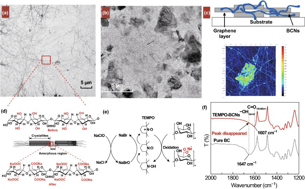 英国伯恩茅斯大学综述：2D材料酒精传感进展 State of the Art in Alcohol Sensing with 2D Materials