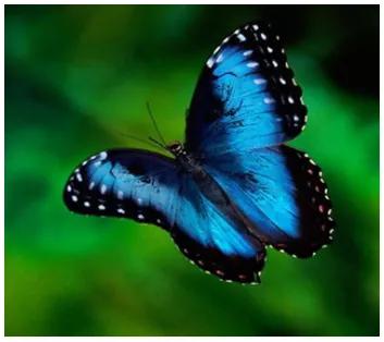 “万物的仲裁者”，今天你用的什么“尺”？