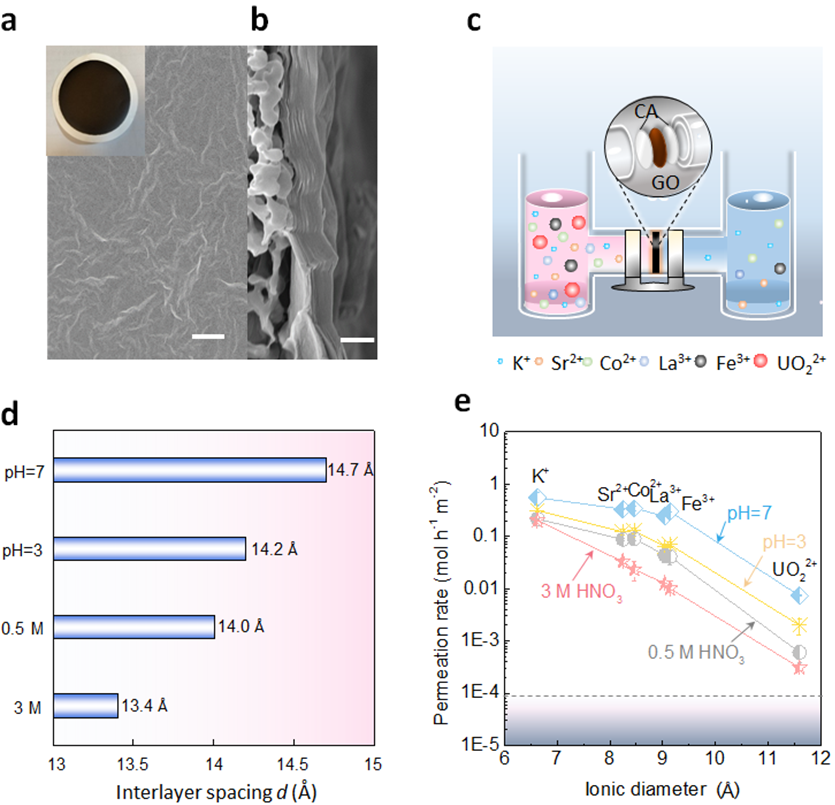 Advanced Science：氧化石墨烯膜用于高酸放射性废液中的离子筛分分离